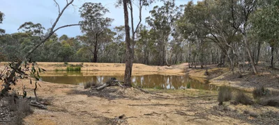 Avoca - Photo 3