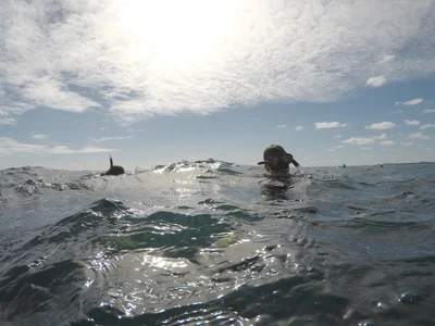 Coral Bay - Photo 2