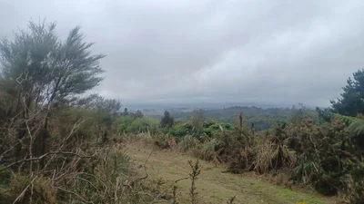 Hikurangi - Photo 3