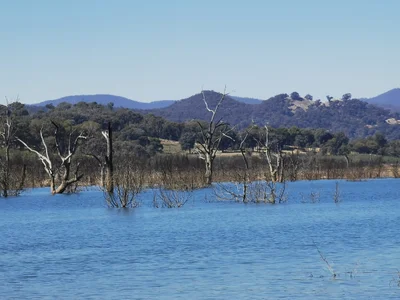 Goughs Bay - Photo 5