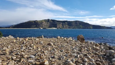 Aramoana - Photo 2