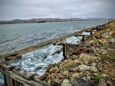 Aramoana - Photo 3