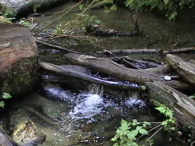 Humboldt County - Photo 3
