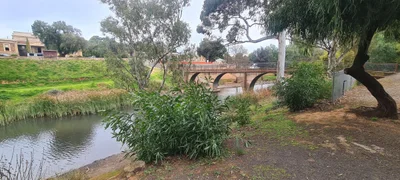 Burra - Photo 5