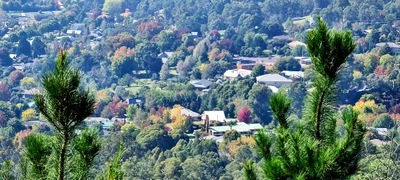 Bright - Photo 4
