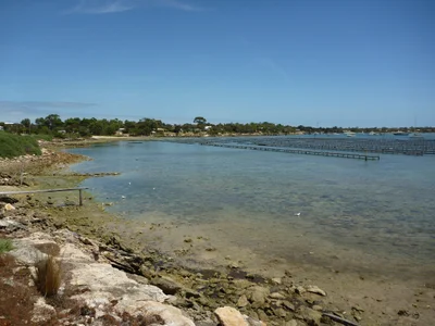 Coffin Bay - Photo 3