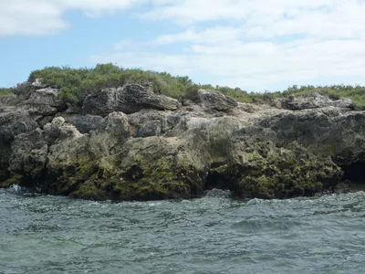 Coffin Bay - Photo 4
