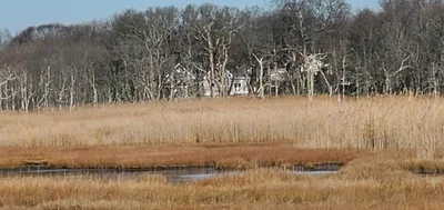 East Islip - Photo 2