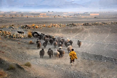 Quetta - Photo 2