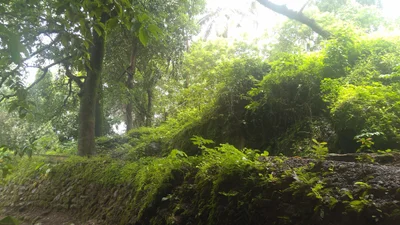 Sanquelim - Photo 3