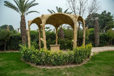 Sahiwal - Photo 4