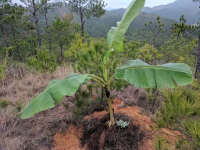 Huichang County - Photo 2