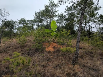 Huichang County - Photo 5
