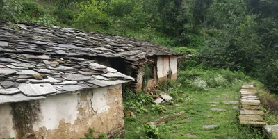 Shoghi - Photo 3