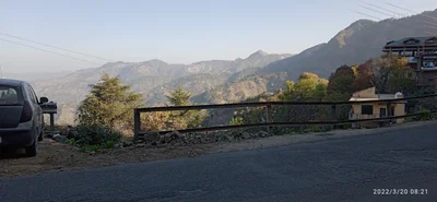 Shoghi - Photo 4