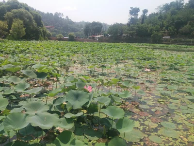 Naukuchiatal - Photo 3