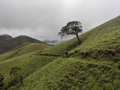 Kuduremukha - Photo 4