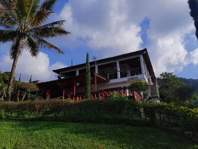 Buenavista - Photo 3