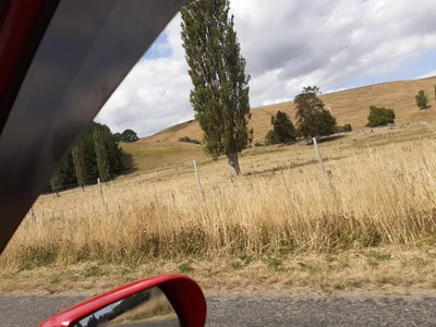 Pahiatua - Photo 5