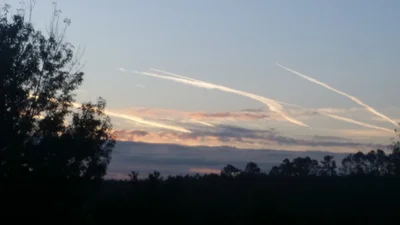 Ocklawaha - Photo 3