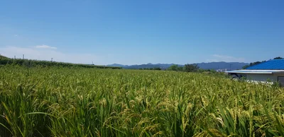 Goseong-gun - Photo 5