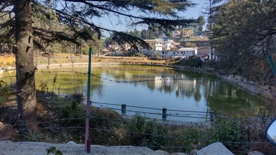 Gwaldam - Photo 2
