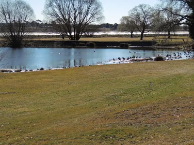 Guyra - Photo 4