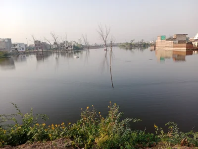 Bharatpur - Photo 3