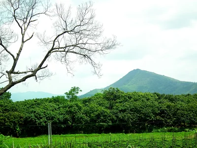 Xinxing County - Photo 2