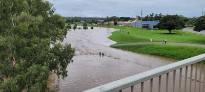 Singleton - Photo 3