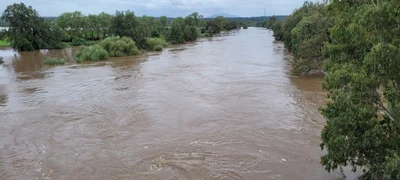 Singleton - Photo 4