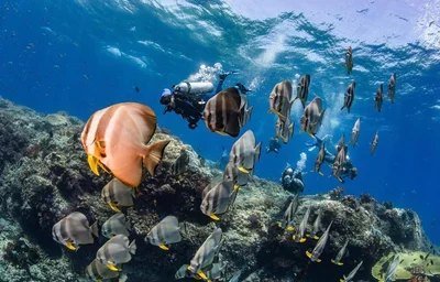 South Male Atoll - Photo 4