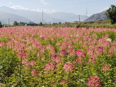 Tongren County - Photo 2