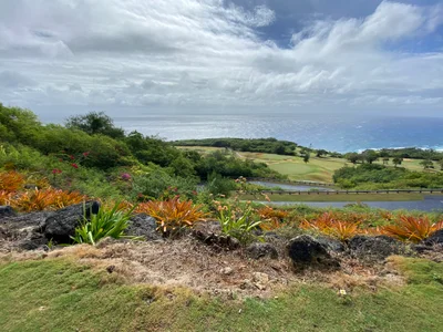 Mangilao - Photo 3