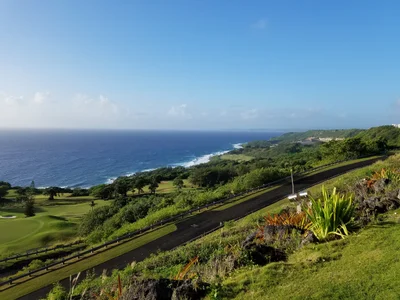 Mangilao - Photo 5