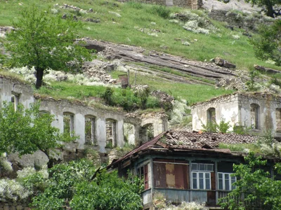 Togh - Photo 3