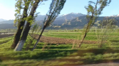 Grigoryevka - Photo 3