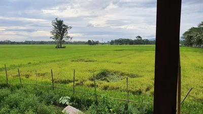 Bayugan - Photo 2
