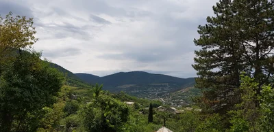 Koghb - Photo 5