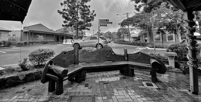 Cooroy - Photo 5