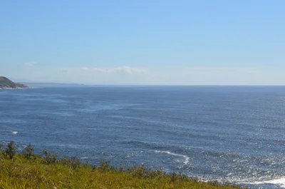 Grassy Head - Photo 3