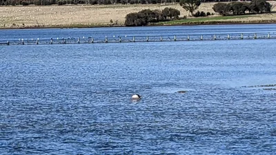 Dunalley - Photo 5