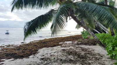 Grand Anse - Photo 2
