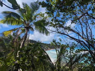 Grand Anse - Photo 4
