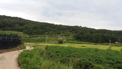 Uiseong-gun - Photo 3