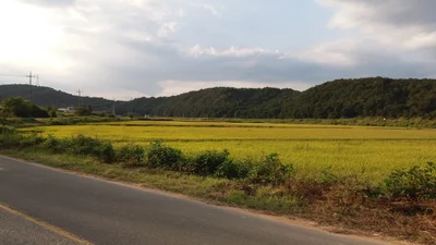 Uiseong-gun - Photo 4