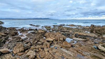 Mallacoota - Photo 3