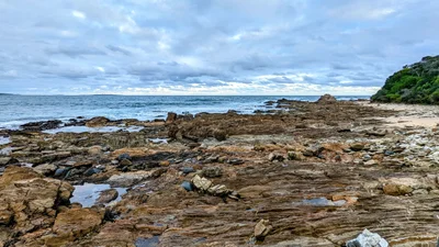 Mallacoota - Photo 4