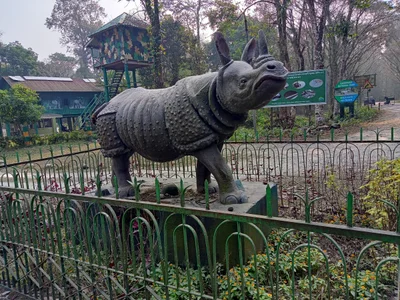 Gorumara National Park - Photo 2