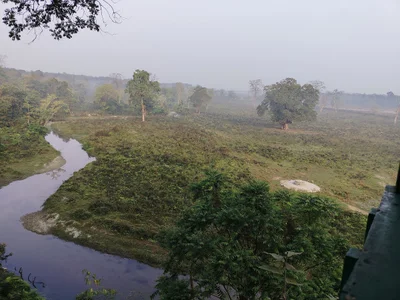 Gorumara National Park - Photo 4